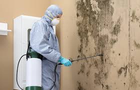 Forensic Mold Investigation in Colby, KS